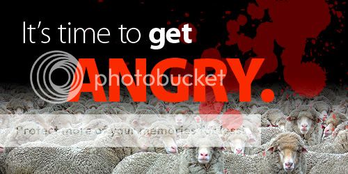 500-sheep_slaughter.jpg
