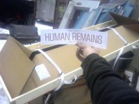 human.jpg