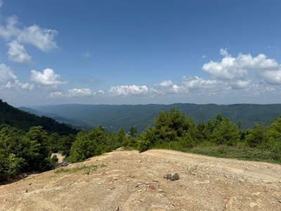 IMG_1304.jpeg