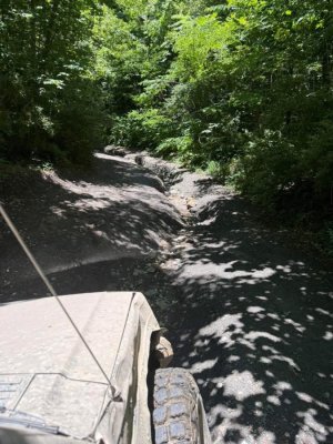 IMG_1320.jpeg