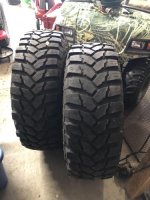 Trep Radials.jpg