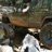 95MeanGreenXJ