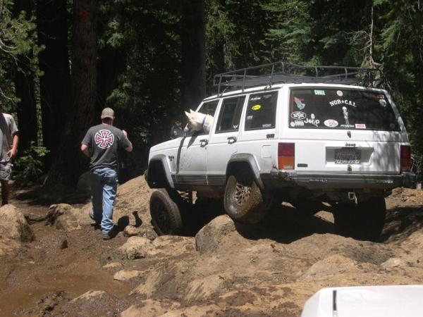deervlyjeep