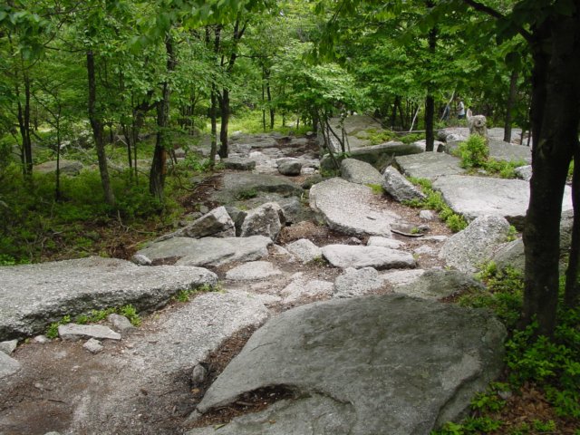 DSC00076.JPG