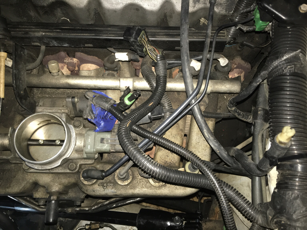 cec1b7a8bb21c596afe8b766f44e23dc.jpg