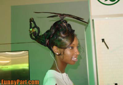 FunnyPart-com-crazy_hair_cut.jpg