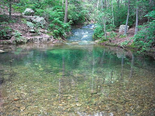 DSCN0441.JPG