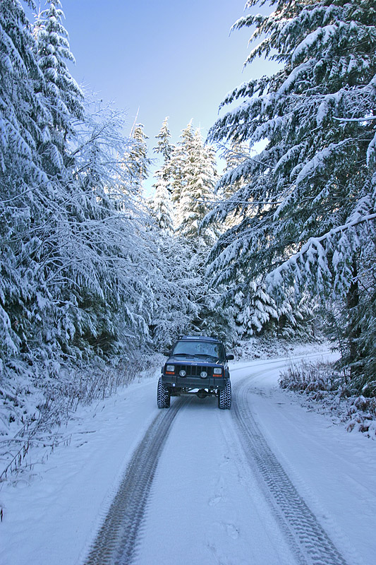 snowongoat06.jpg