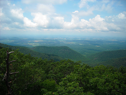 DSCN0397.JPG