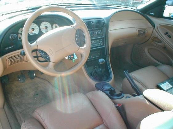 mustanginterior.jpg