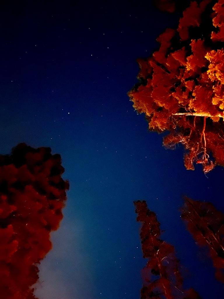 d76e58f4683d8166c09d22a03a61dfb1.jpg