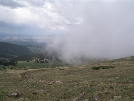 IMGP8689.JPG