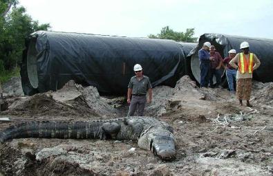 culvert1_small.jpg
