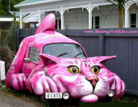 cat%252520truck.jpg
