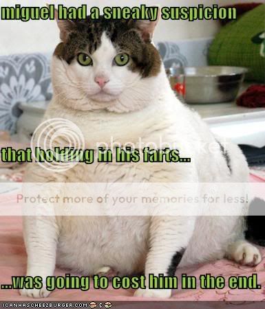 funny-pictures-fat-cat-holds-farts.jpg