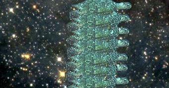 Spaceturtles.JPEG