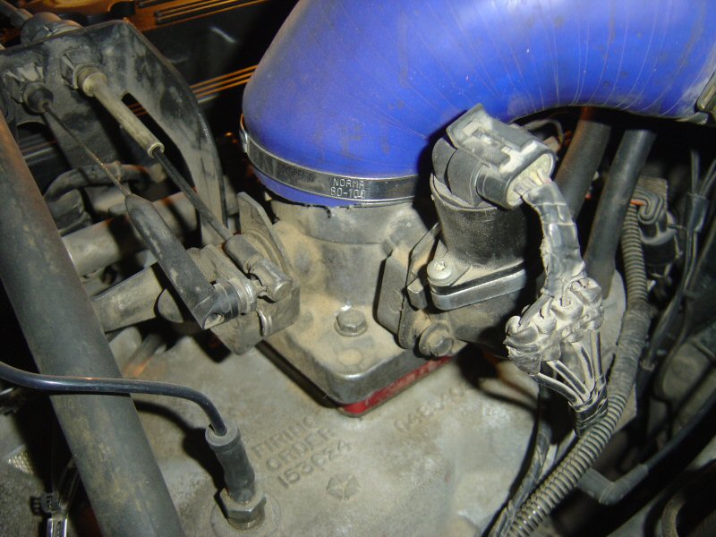 Mustang_TB_2.jpg