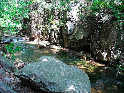 DSCN0422.JPG