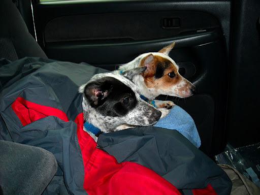 DSCN0462.JPG