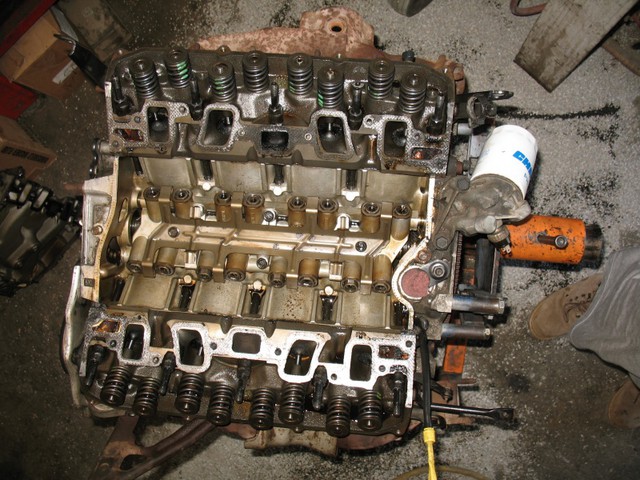 Donor_Innards.sized.jpg