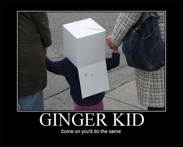 motivational-ginger-kid-come-on-you-would-do-the-same.jpg