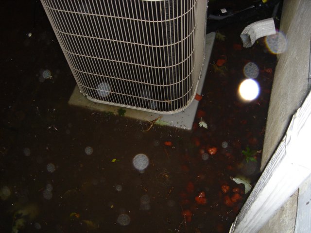 DSC01729.JPG