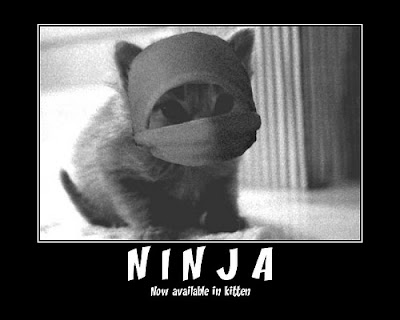 ninja+cat.jpg
