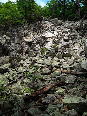 DSCN0387.JPG