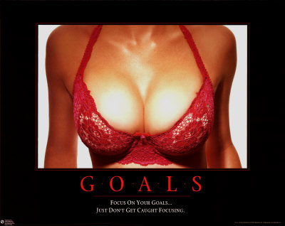 3740~Goals-Posters.jpg