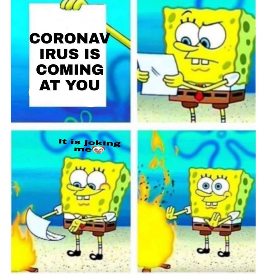 pg6dy.jpg