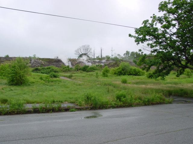 DSC00083.JPG