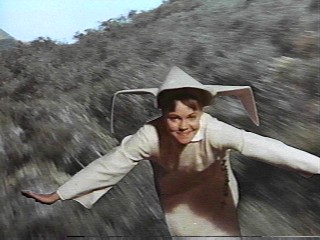 FlyingNun02_5237.JPG