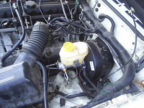 3264782270_04bb47eca3.jpg