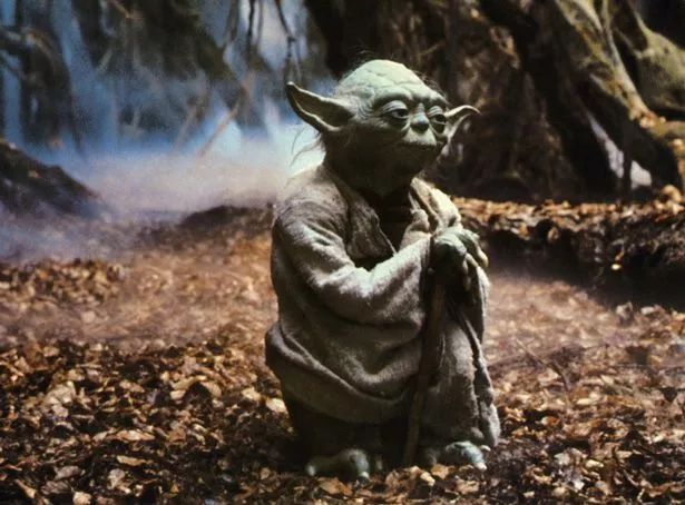Yoda.jpg
