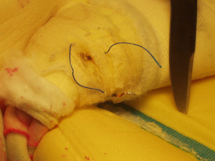 seat-wires.jpg