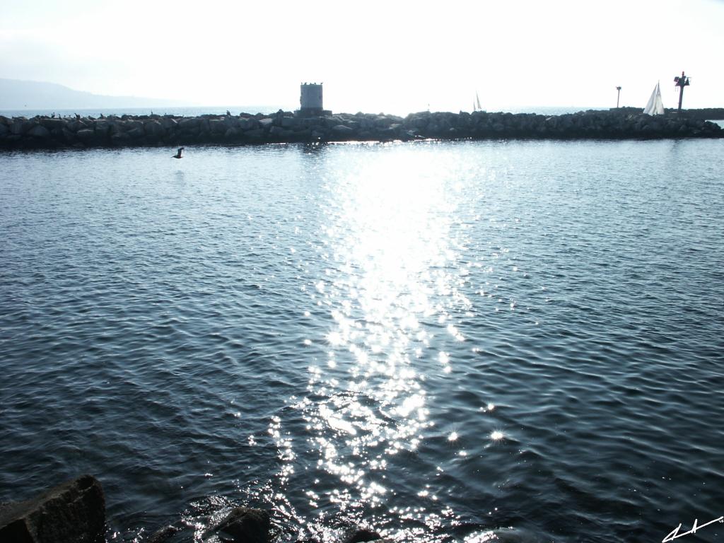 007-005.jpg