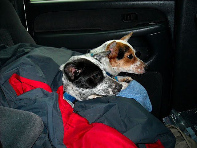 DSCN0462.JPG