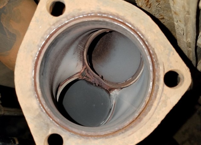 Thorley_Rust_1.sized.jpg
