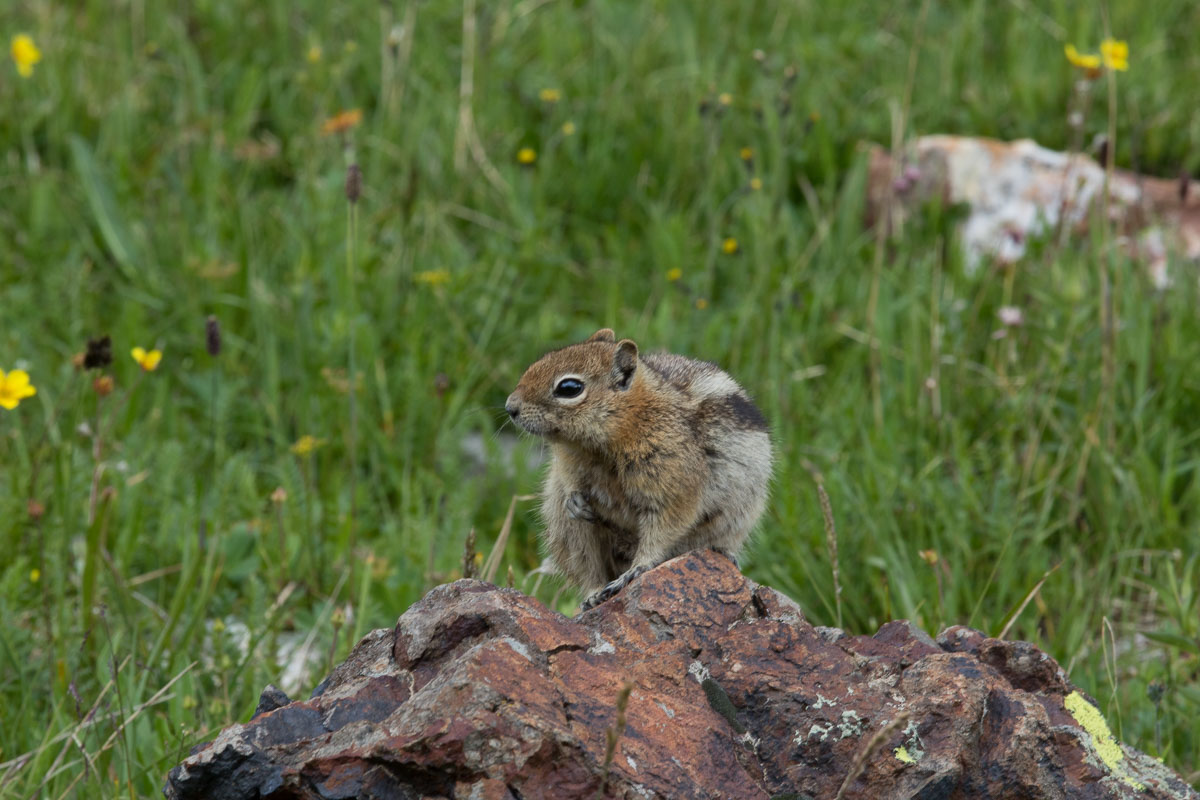 ouray-2017-17.jpg