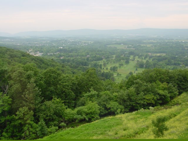 DSC00001.JPG