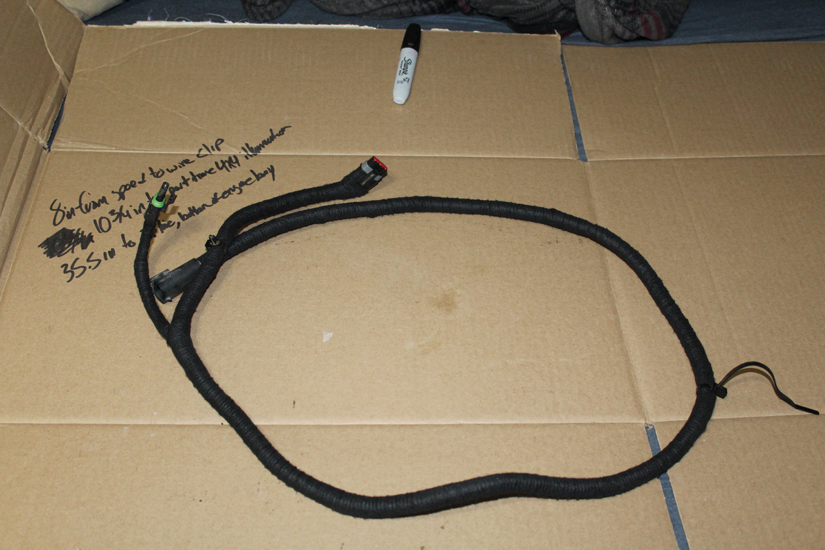 IMG-0165.jpg