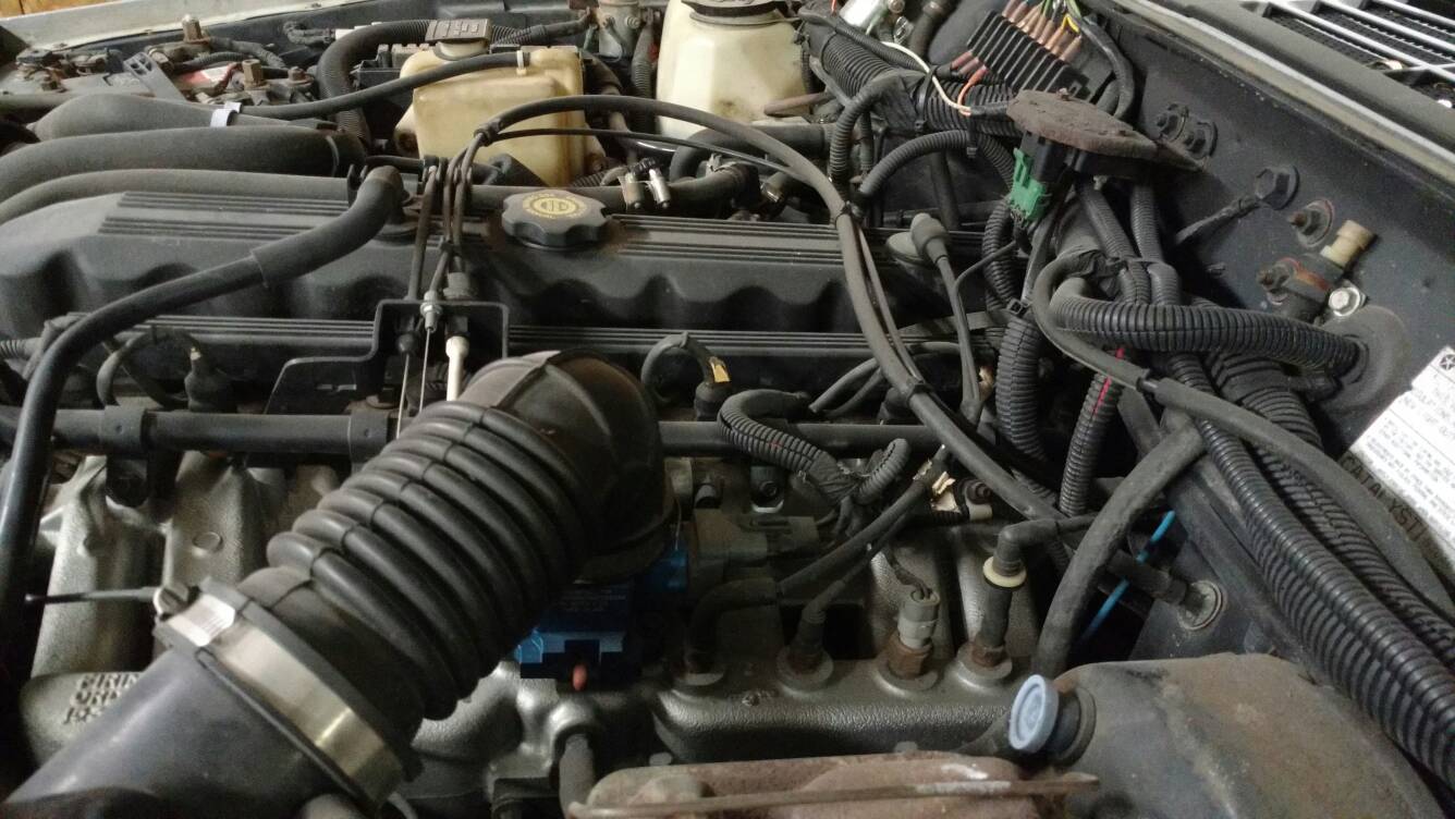 f175b1f0768d2db8ee4b0145e00551fd.jpg
