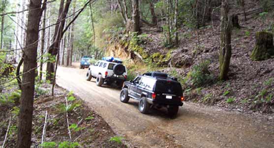 Trail.jpg