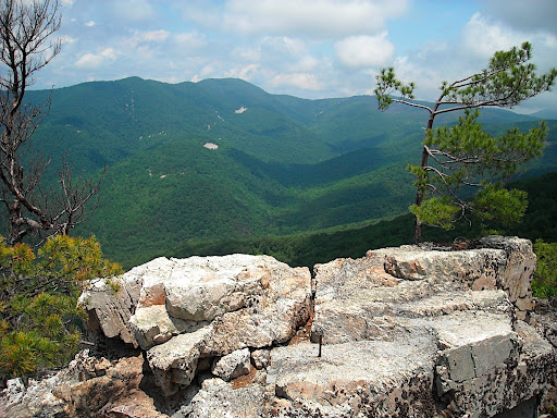DSCN0400.JPG