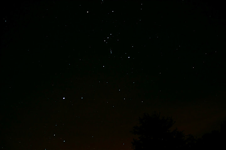 CRW_8257.jpg