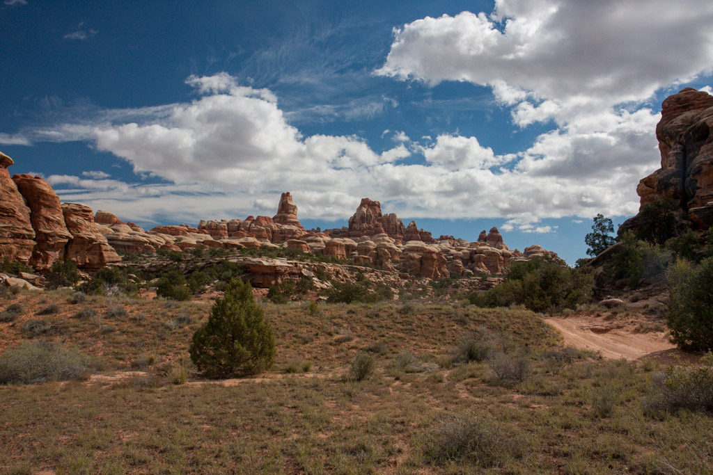 IMG_7911.jpg