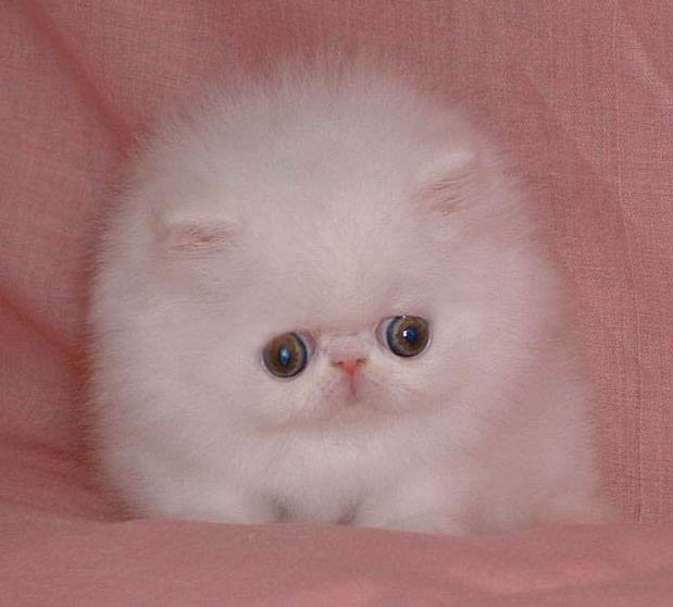warm+fuzzy.jpg