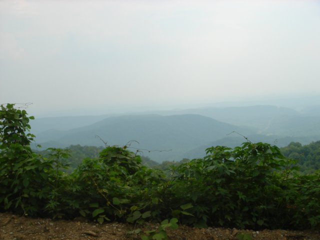 DSC01512.JPG