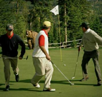 golfbear_small.jpg