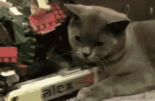 tumblr_lvhao18Us41qi9xe5o1_400.gif
